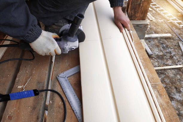 Best Vinyl Siding Installation  in Fort Wayne, IN