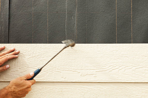 Best Storm Damage Siding Repair  in Fort Wayne, IN
